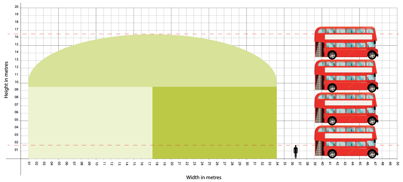 Graphic of scale of plant